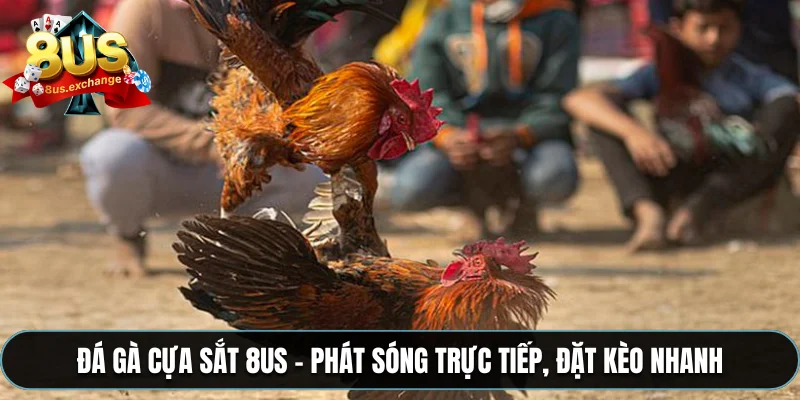 đá gà cựa sắt