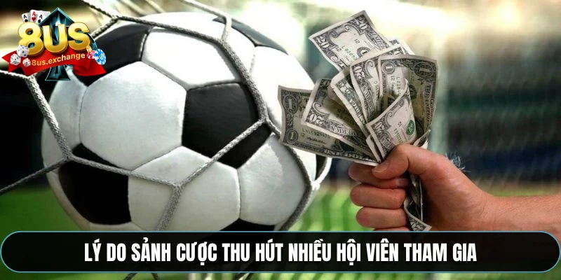 Thể thao 8US – Cá cược trực tuyến uy tín, hấp dẫn 2025 2 Lý do sảnh cược thu hút nhiều hội viên tham gia