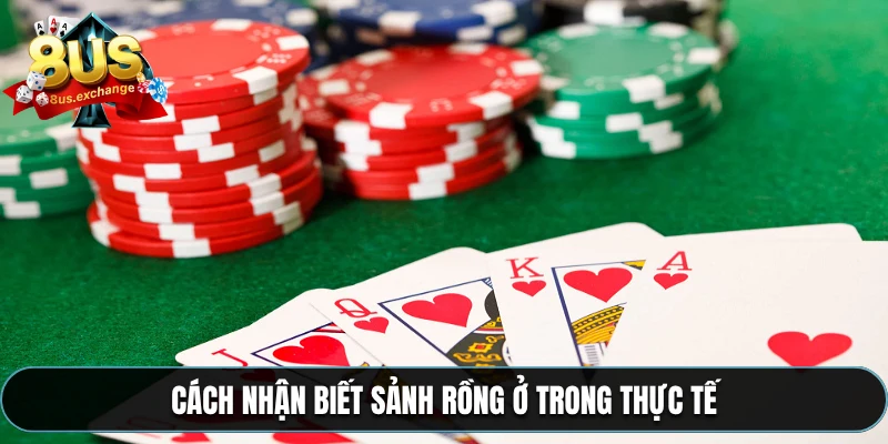 Sảnh rồng là gì? Giải thích thuật ngữ trong game ở 8US 3 Cách nhận biết sảnh rồng ở trong thực tế